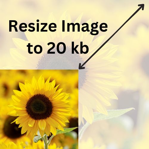 Resize Image to 20 kb